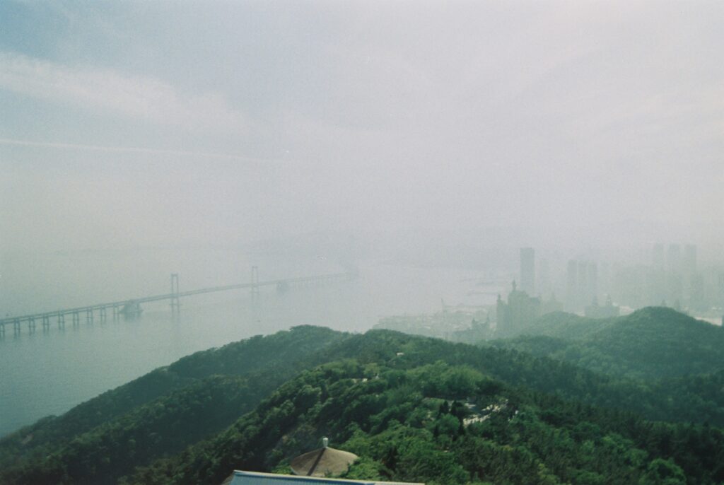 environmental cost of ignoring nature showing pollution climate change and deforestation